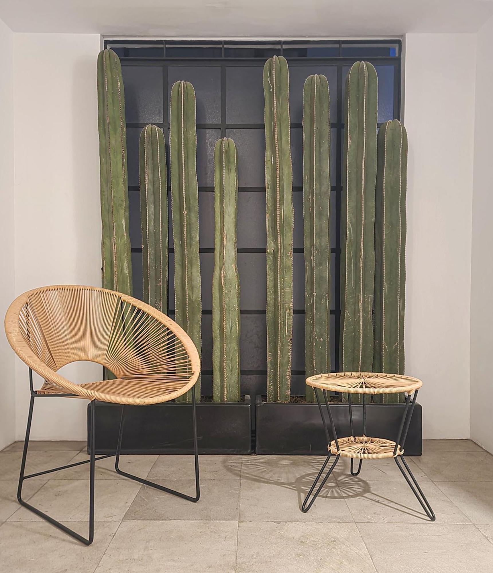 Casa Antonio By Kukun Leilighet Mexico by Eksteriør bilde